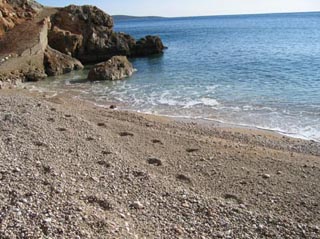 Apartments_Pension_Petrovac_beach
