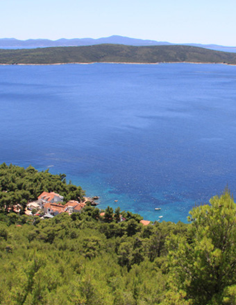 Apartments Hvar Accommodation location